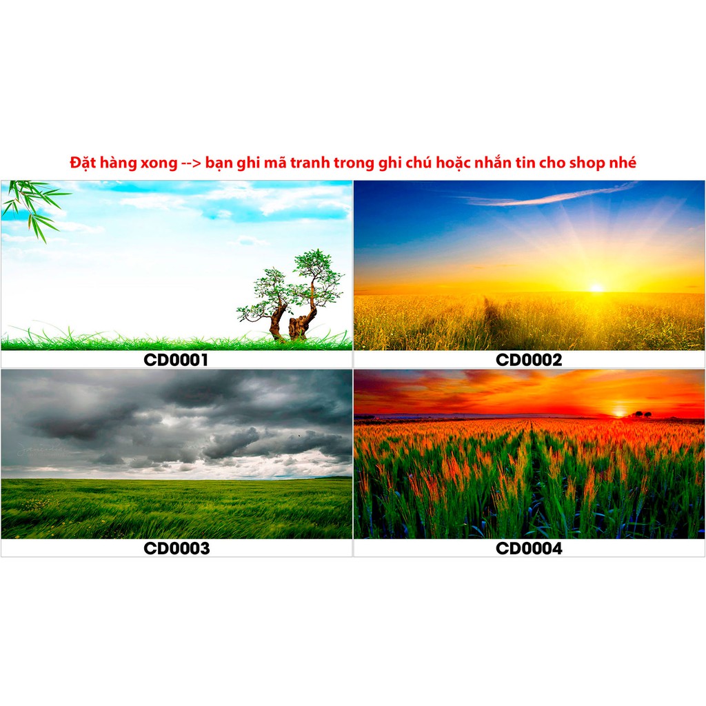 Tranh hồ cá CD cánh đồng có keo sẵn