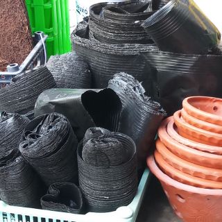 1kg bịch ươm cây 36x30 giá 70