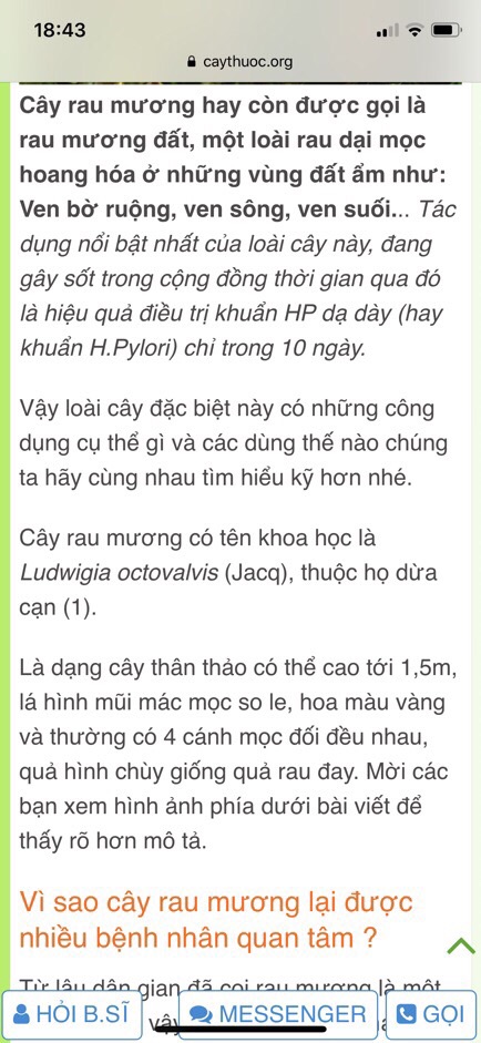 Cây rau mương chữa dạ dày 1 kg