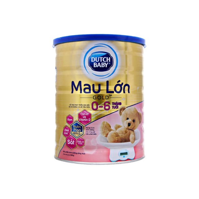 Dutch BaBy Mau Lớn gold 0-6 tháng