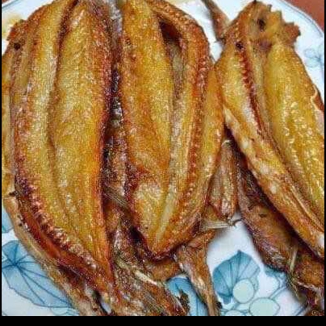 1kg cá mối một nắng ship khu vực miền bắc