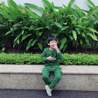 Bộ Nỉ Next Cá Sấu