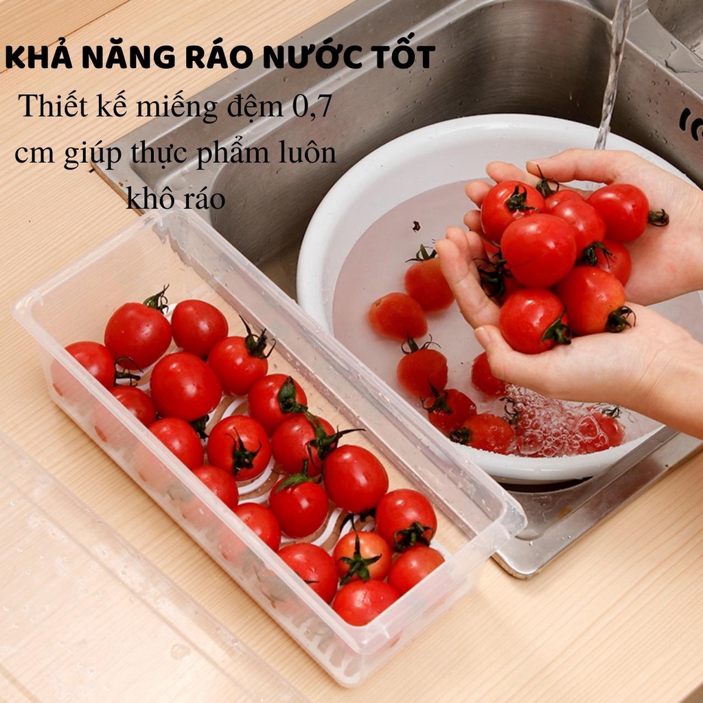 Hộp Nhựa Đựng Thực Phẩm Có Nắp Đậy Và Khay Ráo Nước Được Làm Bằng Chất Liệu An Toàn Cho Sức Khỏe