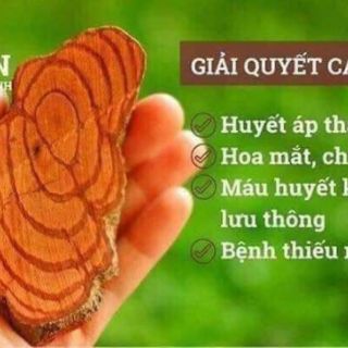 CỎ MÁU TÂM AN