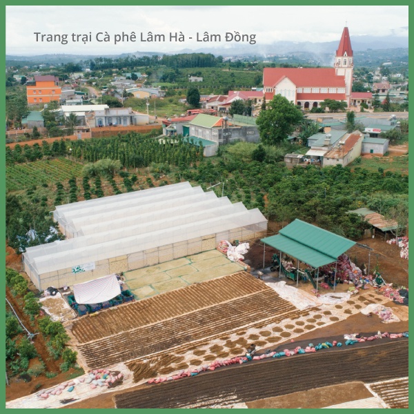 Set 4 gói cà phê phin Robusta Đan Phượng, Tân Hà, Hoài Đức, Phúc Thọ từ vùng đất Lâm Hà, mỗi gói 250g | BigBuy360 - bigbuy360.vn