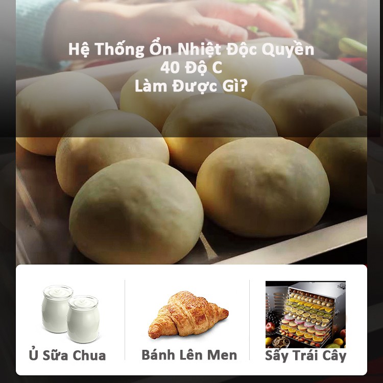 [LÒ CHIÊN KHÔNG DẦU] Lò Nướng Nồi Chiên Không Dầu 2in1 Sấy Trái Cây Ủ Sữa Chua Lên Men Nướng Bánh Nướng Gà Quay Vịt