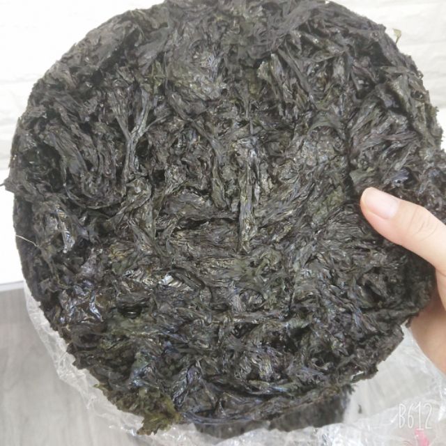 RONG BIỂN KHÔ NHA TRANG LOẠI NGON | BigBuy360 - bigbuy360.vn