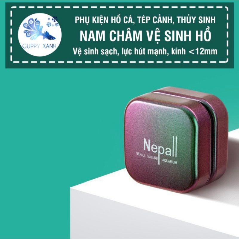 Hít chà hồ Nepall mini cho hồ thủy sinh, bể cá , vệ sinh thành kính cực kỳ hiểu quả và thẩm mỹ.