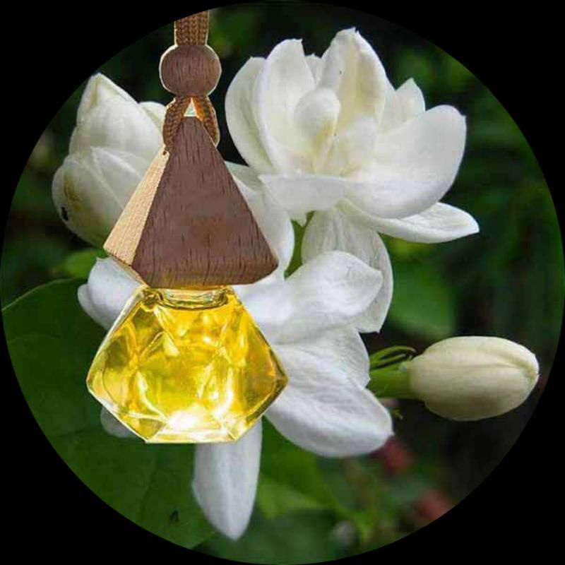 tinh dầu bưởi treo xe hình lục lăng