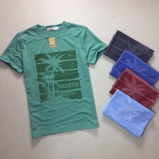 Áo thun nam Hollister họa tiết dừa xuất khẩu