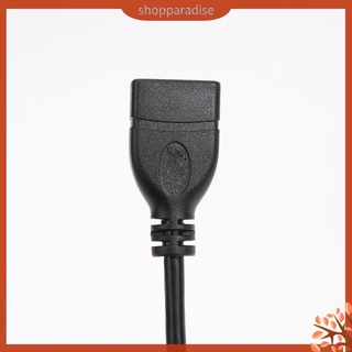Cáp Chuyển Đổi Micro Hdmi Đực Sang Hdmi Cái 17cm