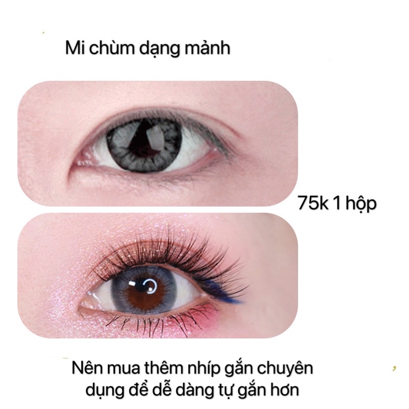 Mi chùm dán từng khóm nhỏ