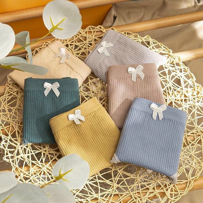 Hộp 5 quần lót cotton 4 chiều thông hơi lưới loại đẹp