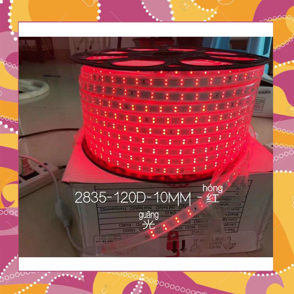 LED DÂY CUỘN 2835 100M