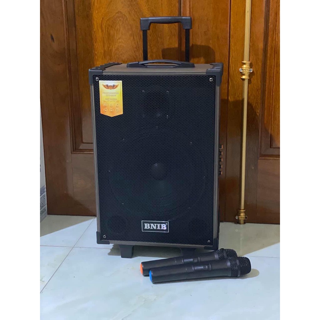 Loa kéo di động BNIB -T10 Hát karaoke , nghe nhạc - tặng 2 tay mic - BASS 25cm