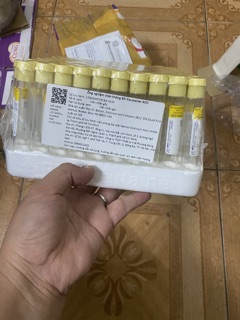 ống kit prp ( vỉ 100 ống )