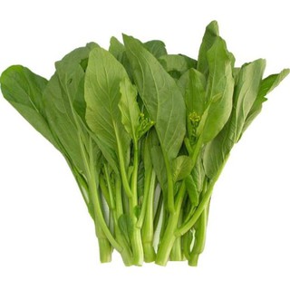 Hạt giống Cải Ngồng Mập 50 hạt