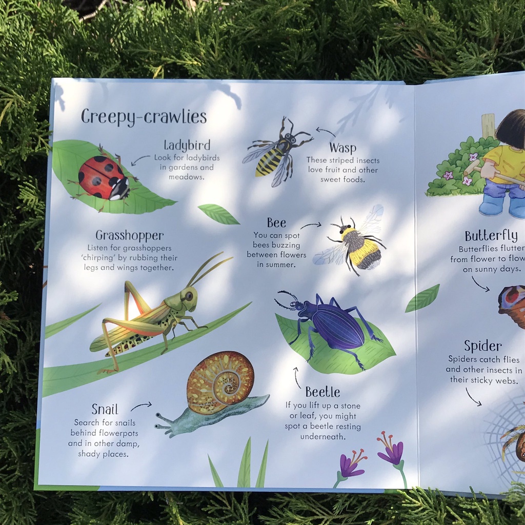 Sách Usborne - Poppy and Sam's Nature Spotting Book - học tiếng anh qua thiên nhiên