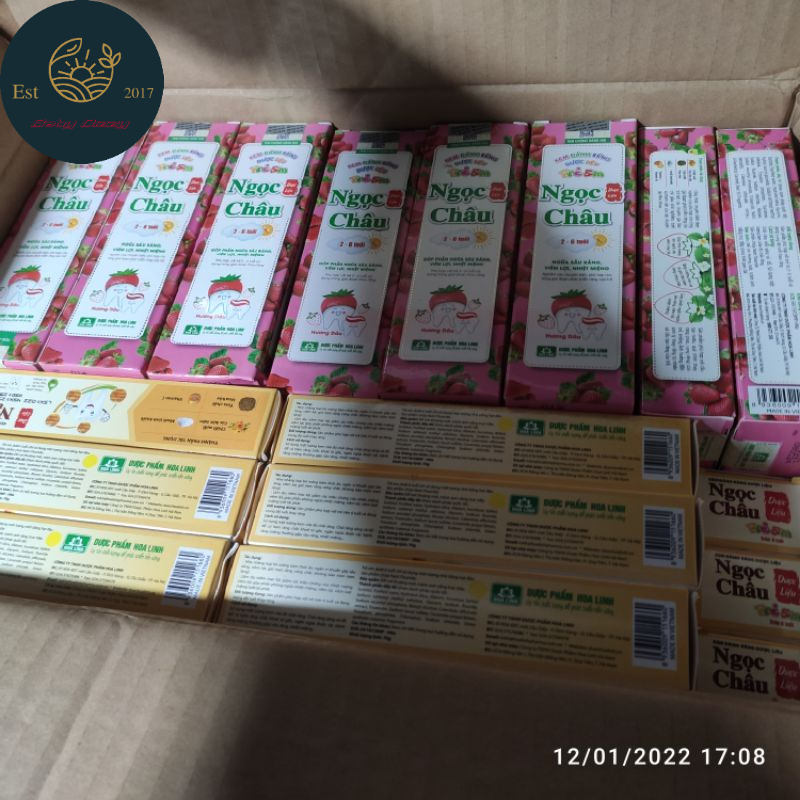 ( 2 LOẠI ) Kem Đánh Răng Trẻ Em Dược Liệu Ngọc Châu 50g và 70g