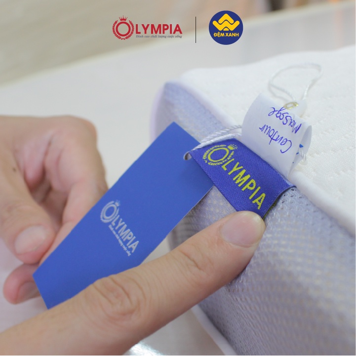 [ẢNH THẬT] Gối Cao Su Olympia Massage Contour (chính hãng)