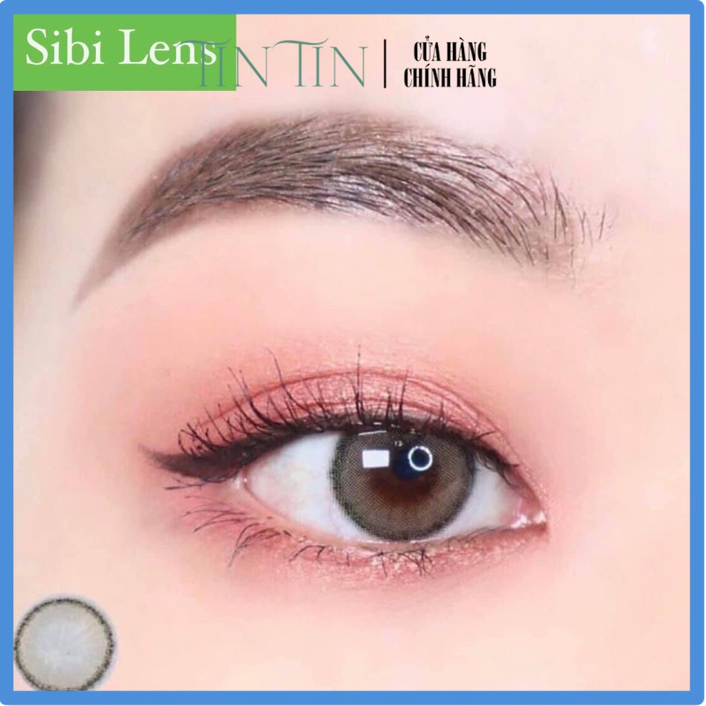 Lens SERENA BROWN - Lens Chuẩn Thái  - Cam Kết Chính Hãng