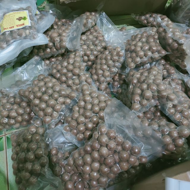 Hạt Macca Đăk Lăk