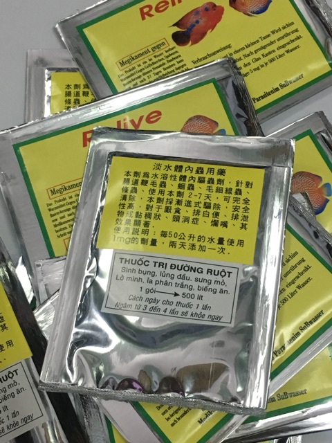 Sình bụng phân trắng lủng đầu lở mình cho cá