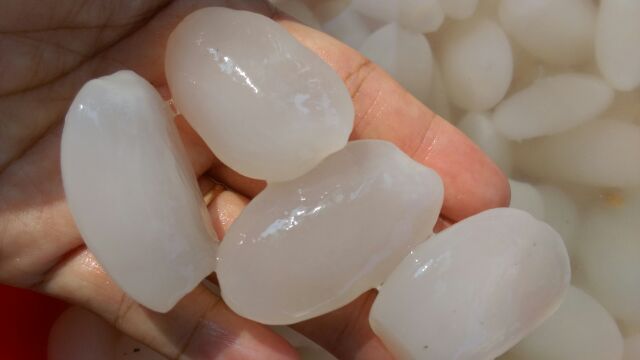 1kg hạt đác size cực to | BigBuy360 - bigbuy360.vn