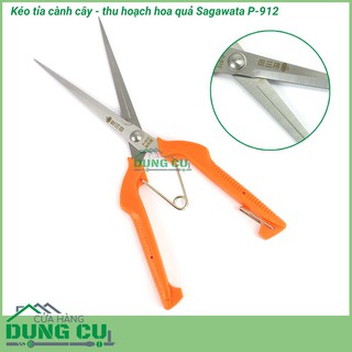 Kéo cắt tỉa cành cây thu hoạch hoa quả P912
