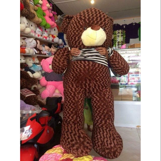 Gấu Teddy hàng Việt Nam. Size 1m8