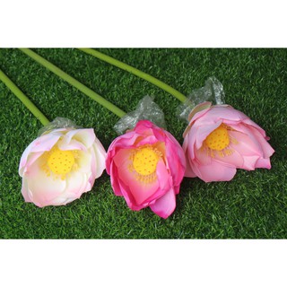 Hoa sen vải lụa bông lớn 22-25cm