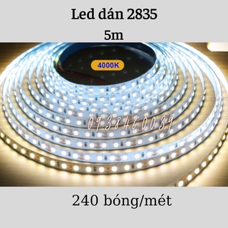 Led dán 5m 2835 240 led/mét