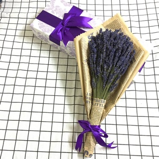Combo sỉ hoa lavender thỏ ngọc