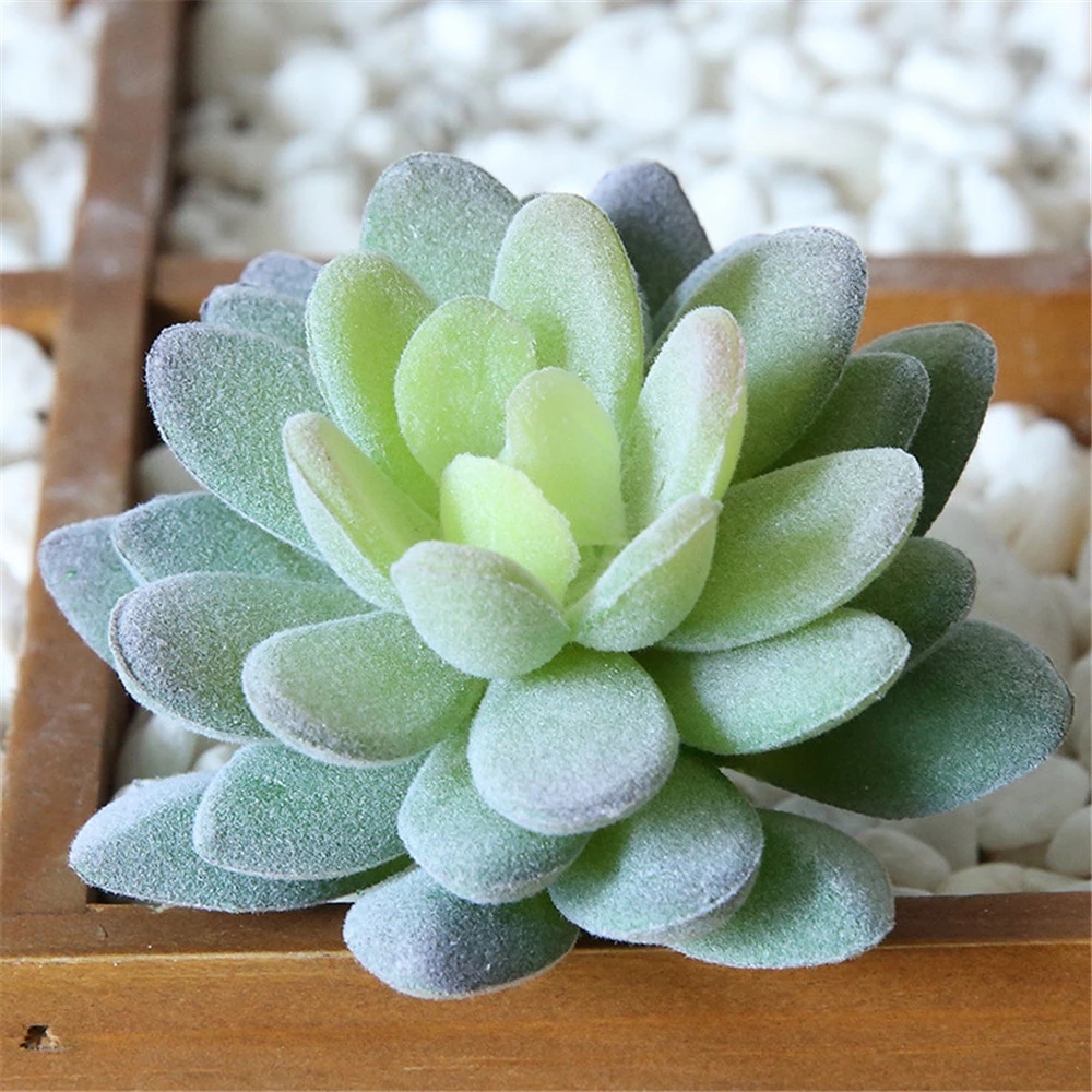 Chậu Cây Cảnh Nhân Tạo Bằng Nhựa Độc Đáo Trang Trí Nhà Cửa/ Sân Vườn