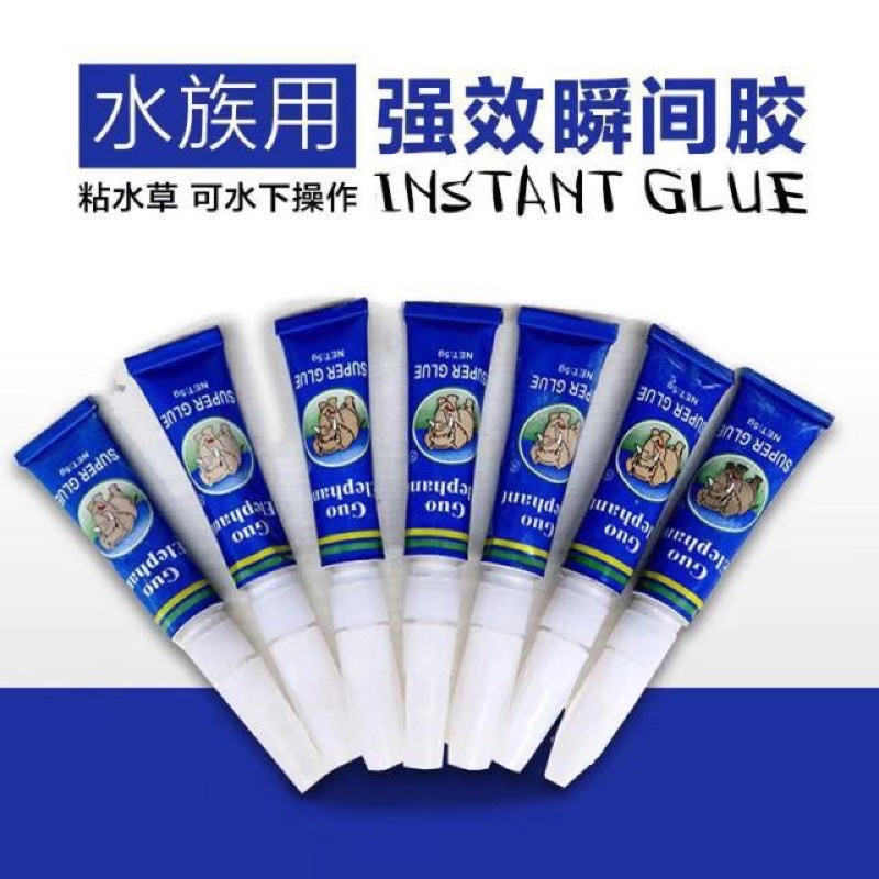 Keo chuyên dụng dán rêu thủy sinh