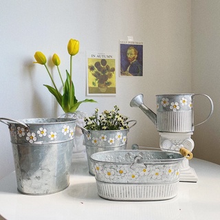 (Tự chụp / Có sẵn )Chậu hoa thiếc viền hoa cúc trắng Vintage