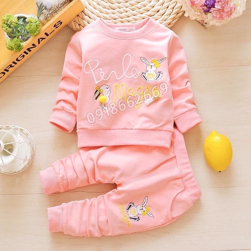 Bộ dài thu bé gái, chất da cá cotton size 6-20kg