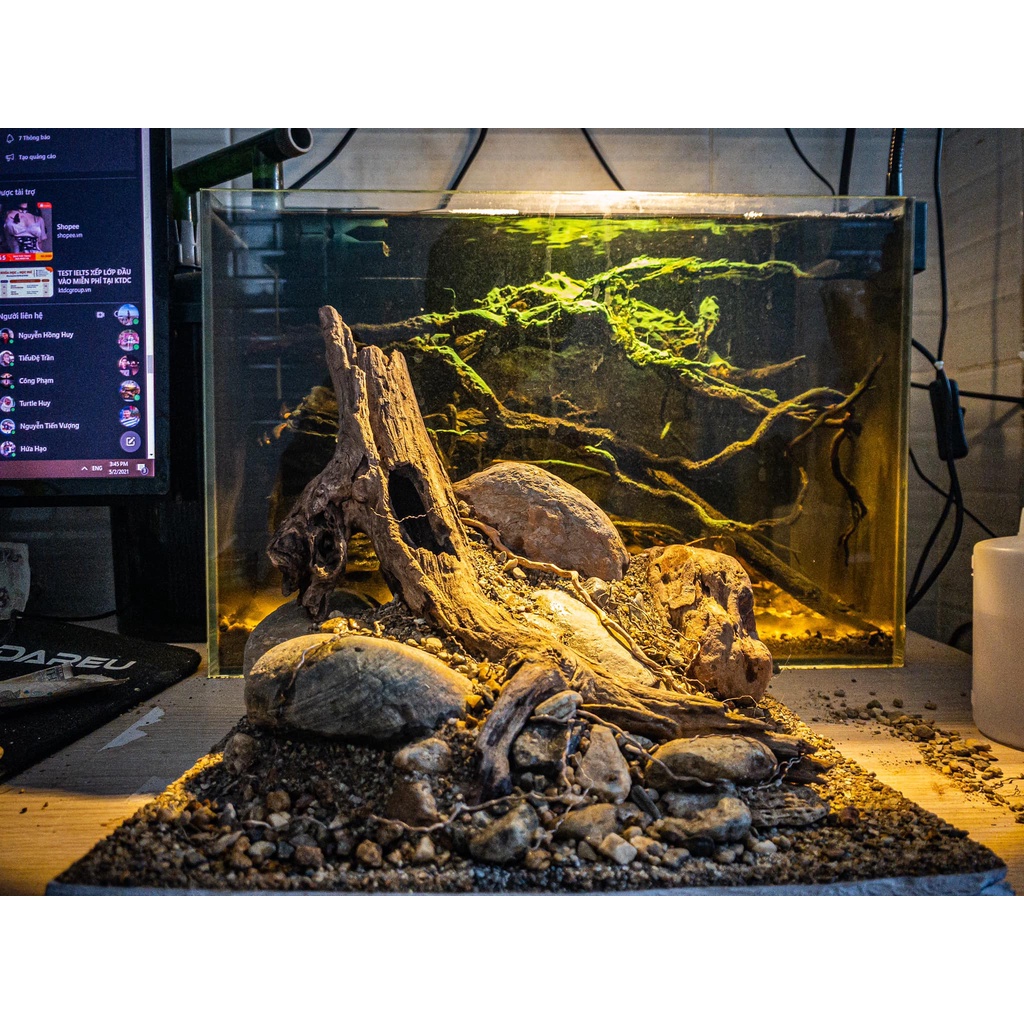 Sạn Suối Thiên Nhiên Femolay | Size S | Bao 2KG | Trang trí trải nền bể thủy sinh, Biotope.