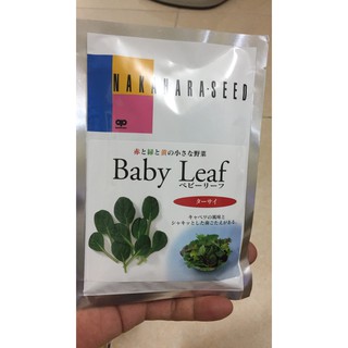 Hạt giống cải tatsoi nhật bản