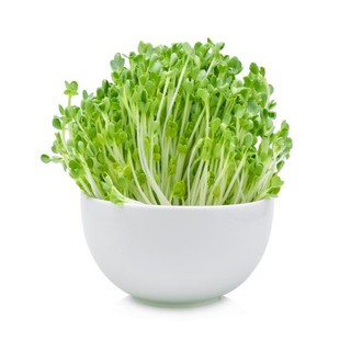 Rau Mầm Củ Cải Trắng 100 gr