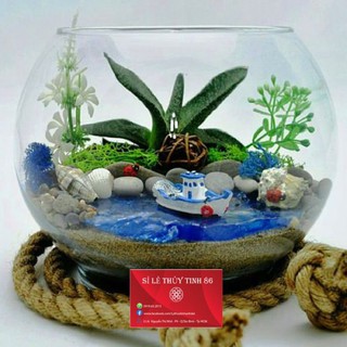 BÌNH THỦY TINH NUÔI CÁ,CHẬU CÁ THỦY TINH,BÌNH THỦY TINH TRỒNG CÂY THỦY SINH ZALO 0918632015