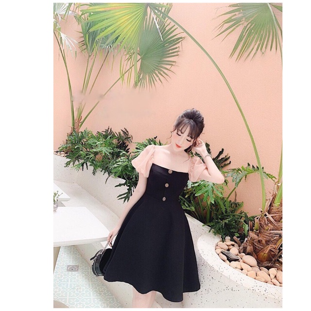 🌟 ĐẦM TAY PHỐI VOAN 🌟