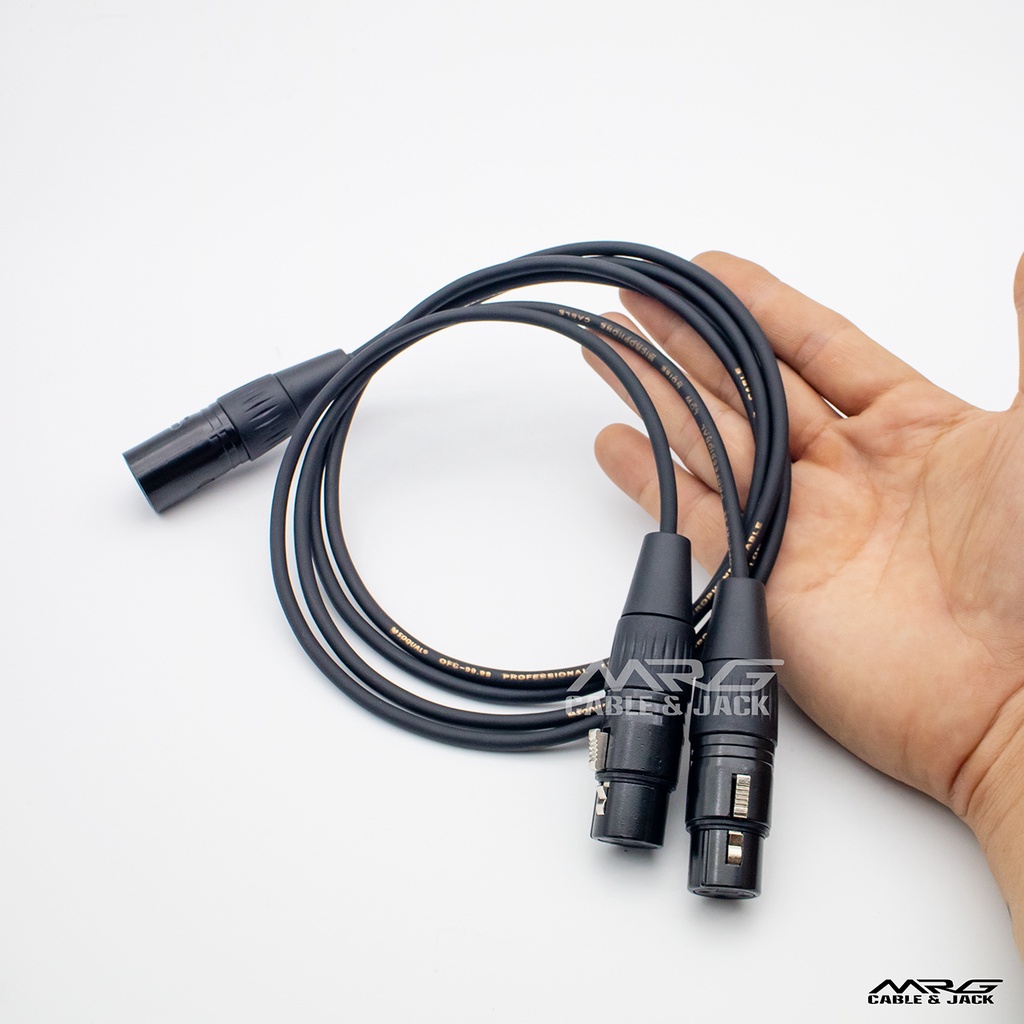 Dây 1 Đầu Canon Đực Ra 2 Đầu Canon Cái - MrG