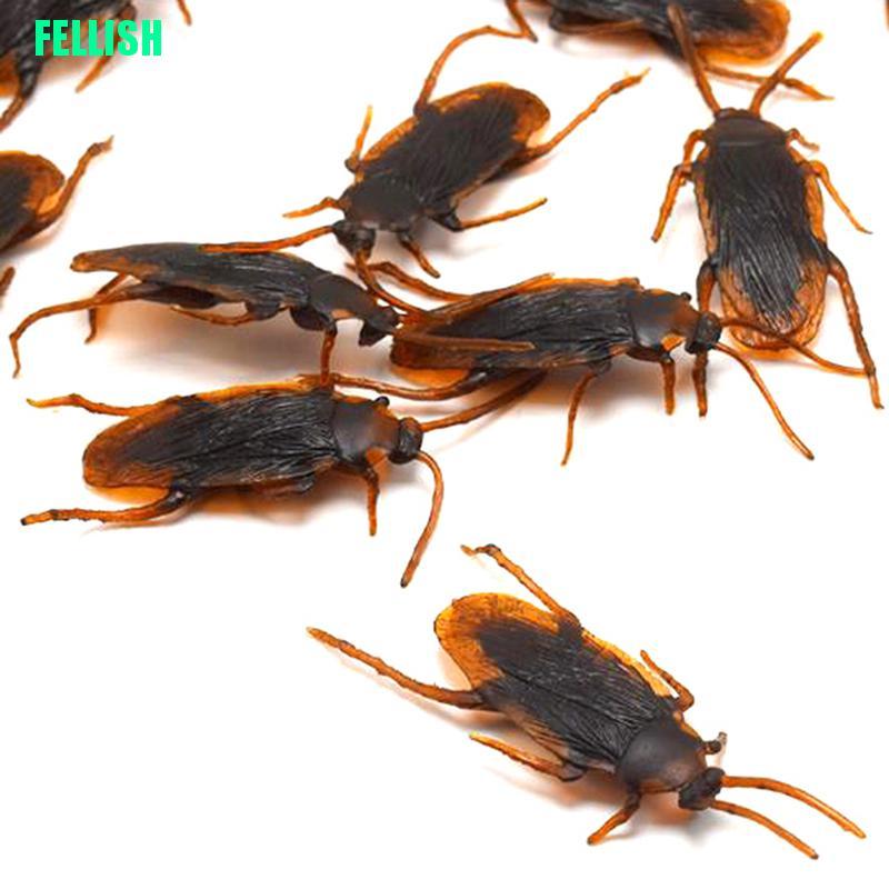 Set 10 Mô Hình Con Gián Giả Bằng Cao Su Độc Đáo Sống Động