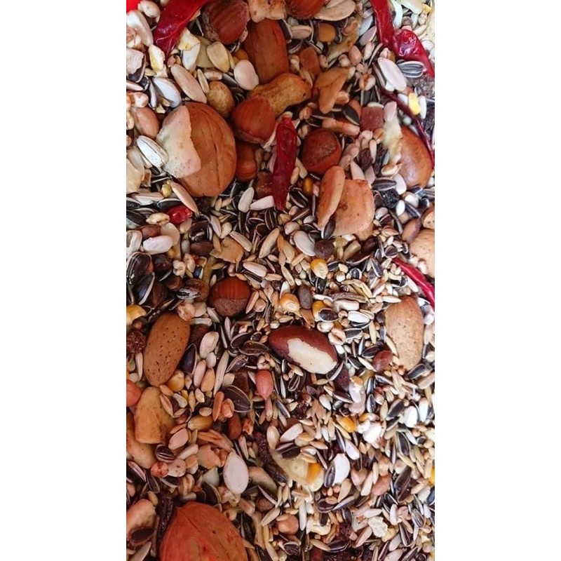 Hạt Exotic nuts cho Vẹt gói nguyên seal 750g