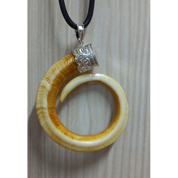 Mặt dây nanh heo nhân tạo phủ bì 9cm tặng dây đeo