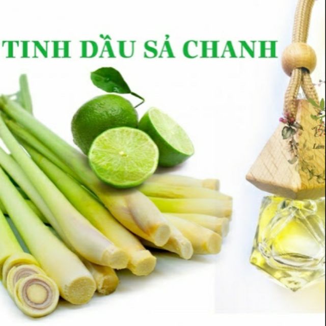 TINH DẦU SẢ CHANH NGUYÊN CHẤT