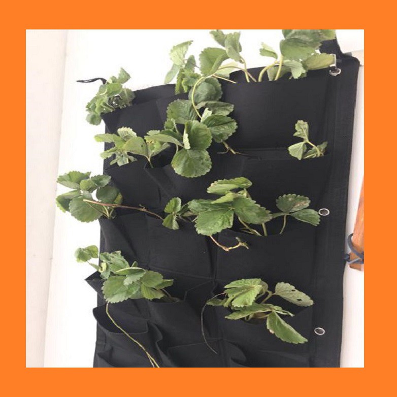 Túi vải trồng cây 21 ngăn - túi treo tường trồng rau sạch tại nhà 21 ô