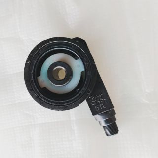 Nhông đồng hồ, củ sâu công tơ Nozza