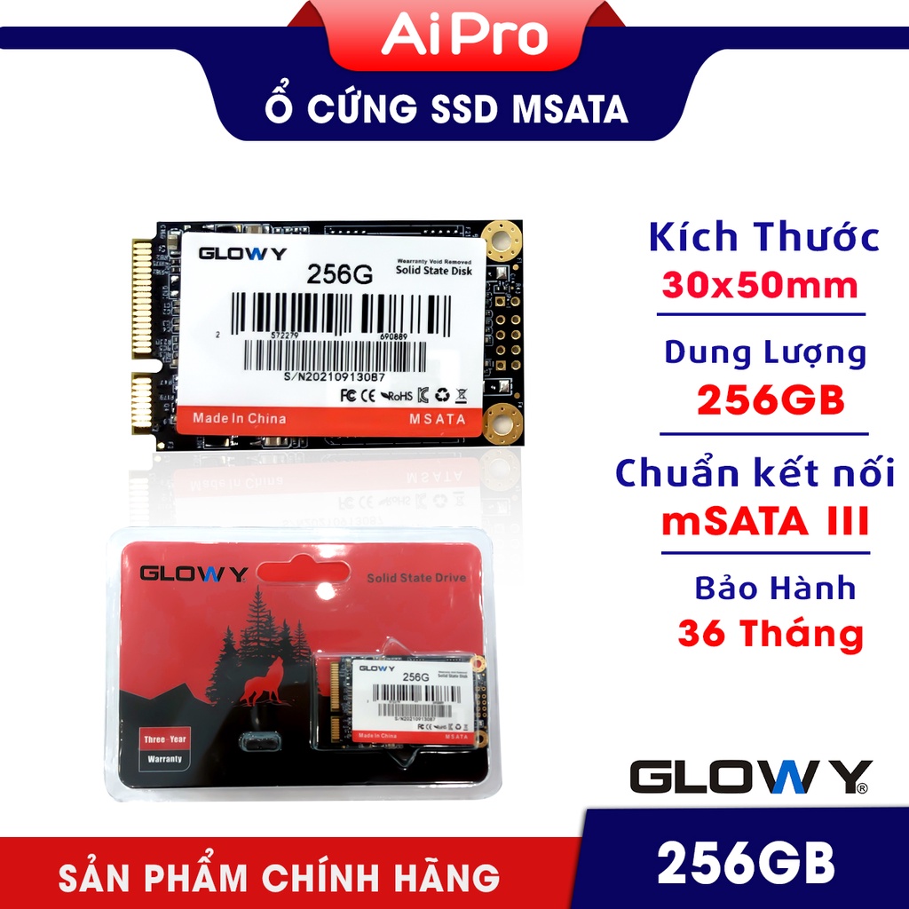 Ổ cứng SSD MSATA Gloway 256GB - CHÍNH HÃNG - Bảo hành 3 năm !!!